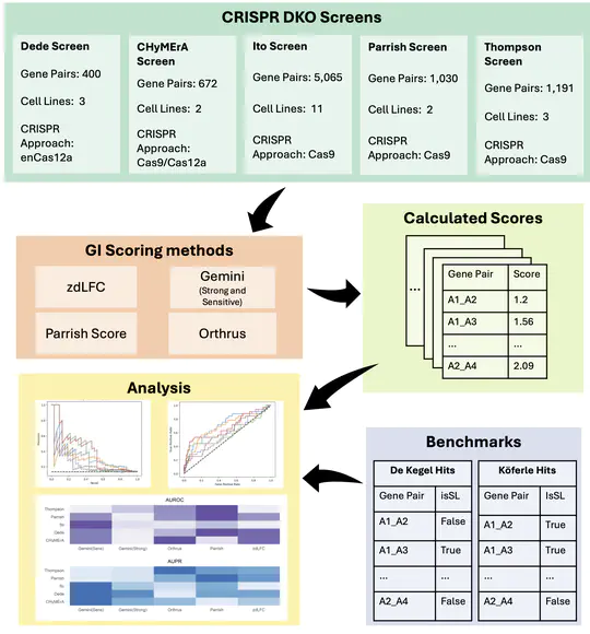 Hamda's paper evaluating genetic interaction scoring systems for combinatorial CRISPR screens