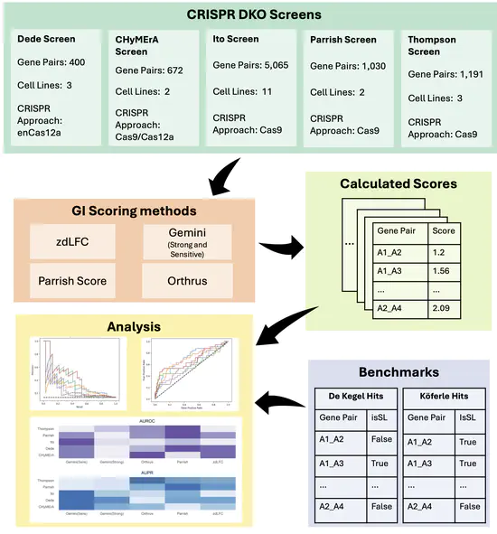 Hamda's paper evaluating genetic interaction scoring systems for combinatorial CRISPR screens